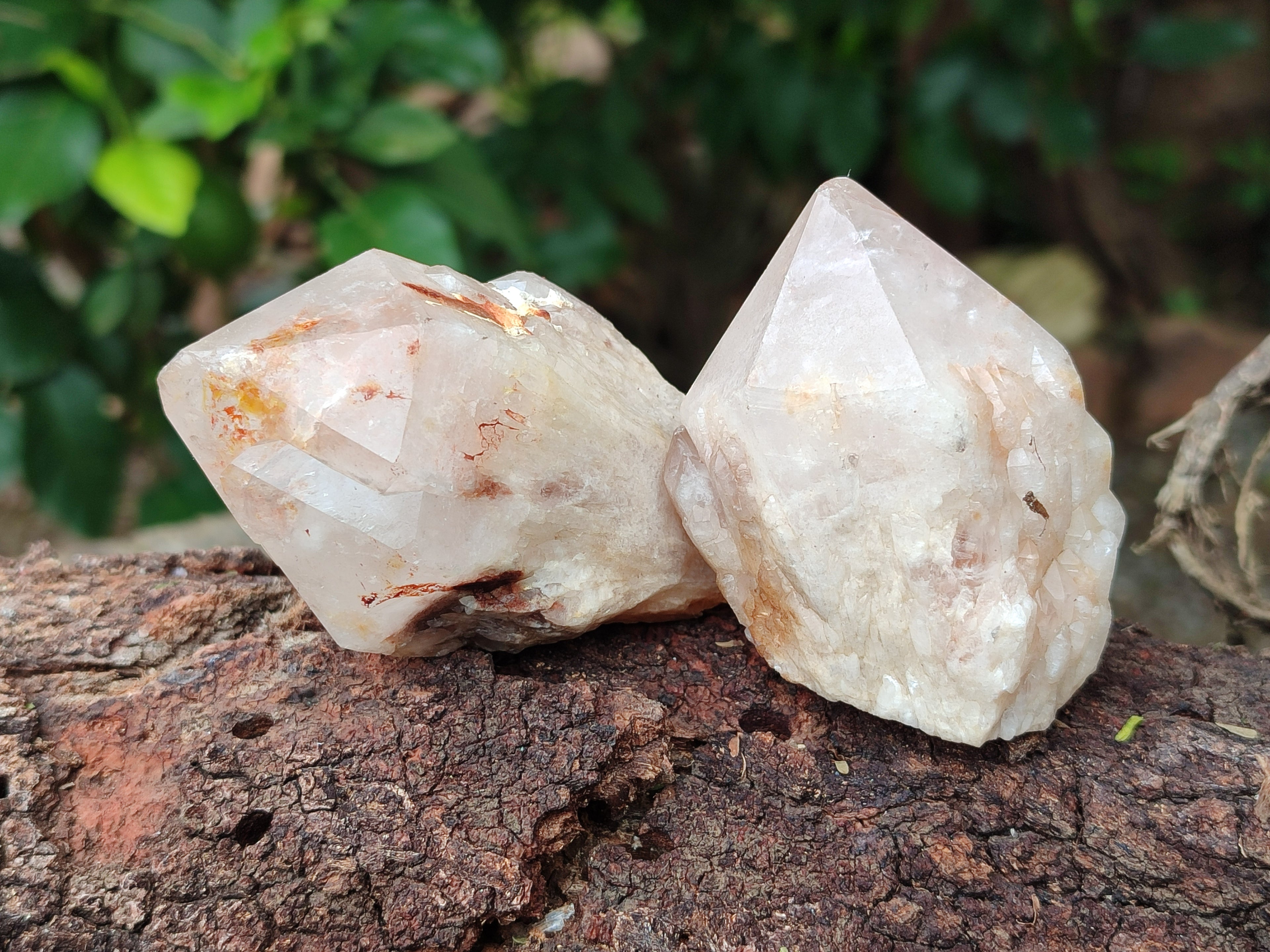 Natural Pineapple Candle Quartz Crystals x 24 From Antsirabe, Madagascar - Toprock Gemstones and Minerals 