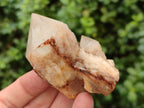 Natural Pineapple Candle Quartz Crystals x 24 From Antsirabe, Madagascar - Toprock Gemstones and Minerals 