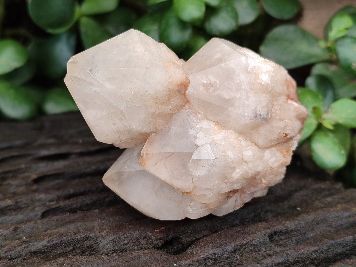 Natural Pineapple Candle Quartz Crystals x 24 From Antsirabe, Madagascar - Toprock Gemstones and Minerals 