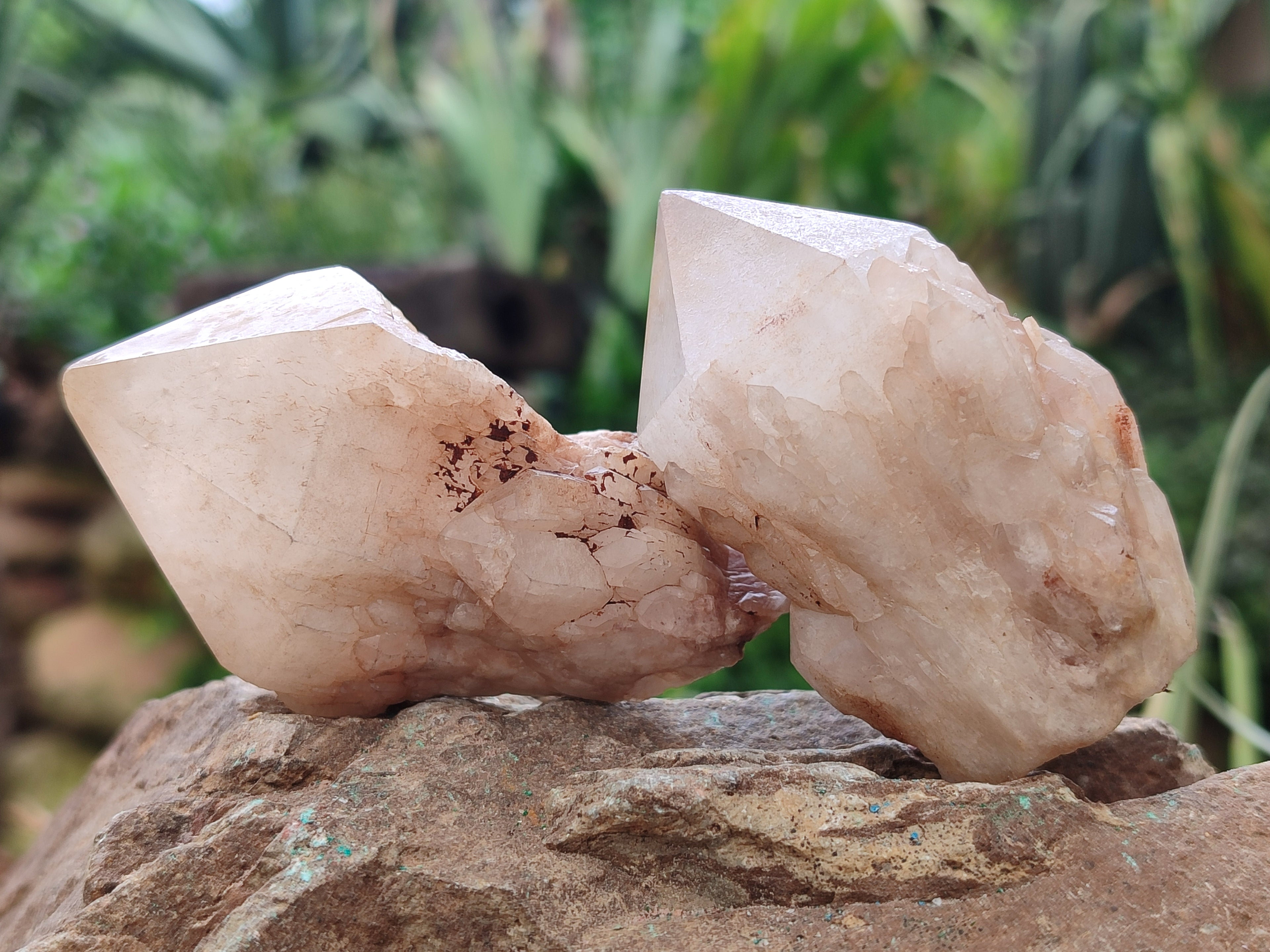 Natural Pineapple Candle Quartz Crystals x 24 From Antsirabe, Madagascar - Toprock Gemstones and Minerals 