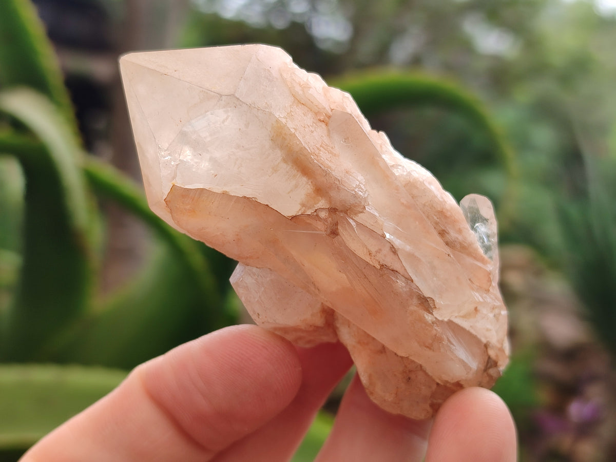 Natural Pineapple Candle Quartz Crystals x 24 From Antsirabe, Madagascar - Toprock Gemstones and Minerals 