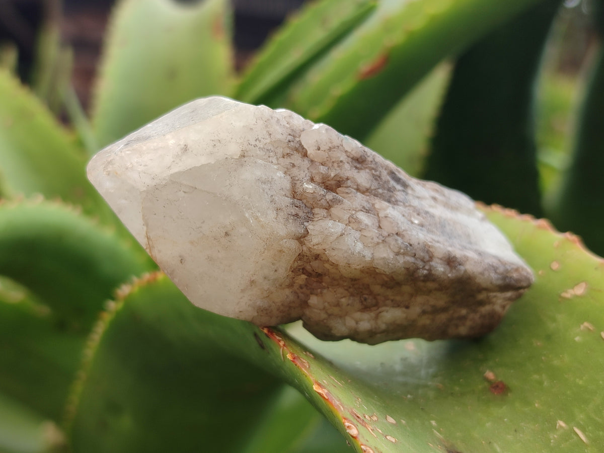 Natural Pineapple Candle Quartz Crystals x 24 From Antsirabe, Madagascar - Toprock Gemstones and Minerals 