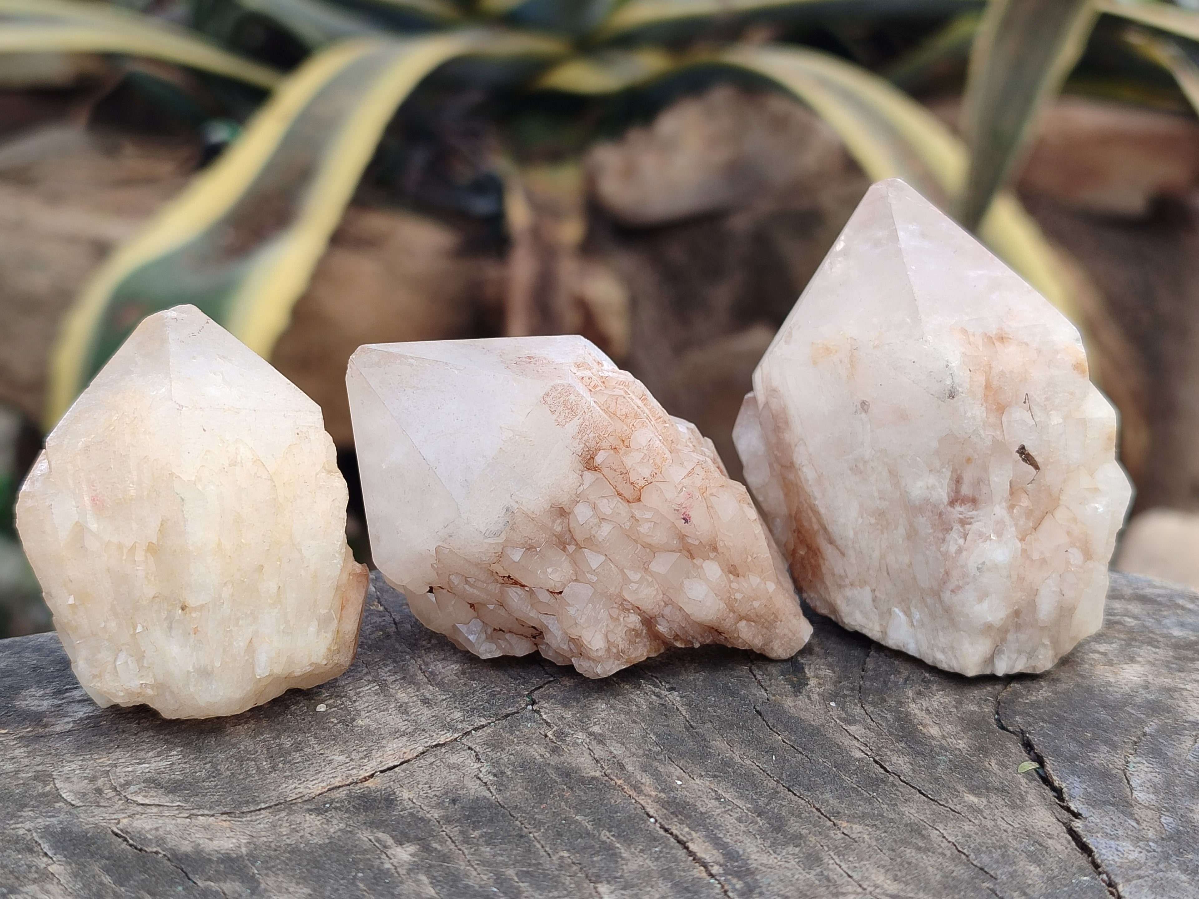 Natural Pineapple Candle Quartz Crystals x 24 From Antsirabe, Madagascar - Toprock Gemstones and Minerals 