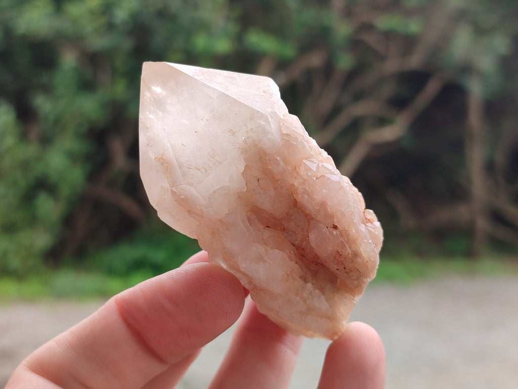 Natural Pineapple Candle Quartz Crystals x 24 From Antsirabe, Madagascar - Toprock Gemstones and Minerals 