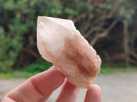 Natural Pineapple Candle Quartz Crystals x 24 From Antsirabe, Madagascar