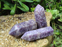 Polished Lepidolite with Pink Rubellite Points x 12 From Ambatondrazaka, Madagascar