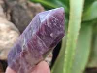 Polished Lepidolite with Pink Rubellite Points x 12 From Ambatondrazaka, Madagascar