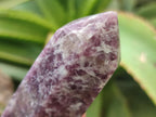 Polished Lepidolite with Pink Rubellite Points x 12 From Ambatondrazaka, Madagascar - Toprock Gemstones and Minerals 