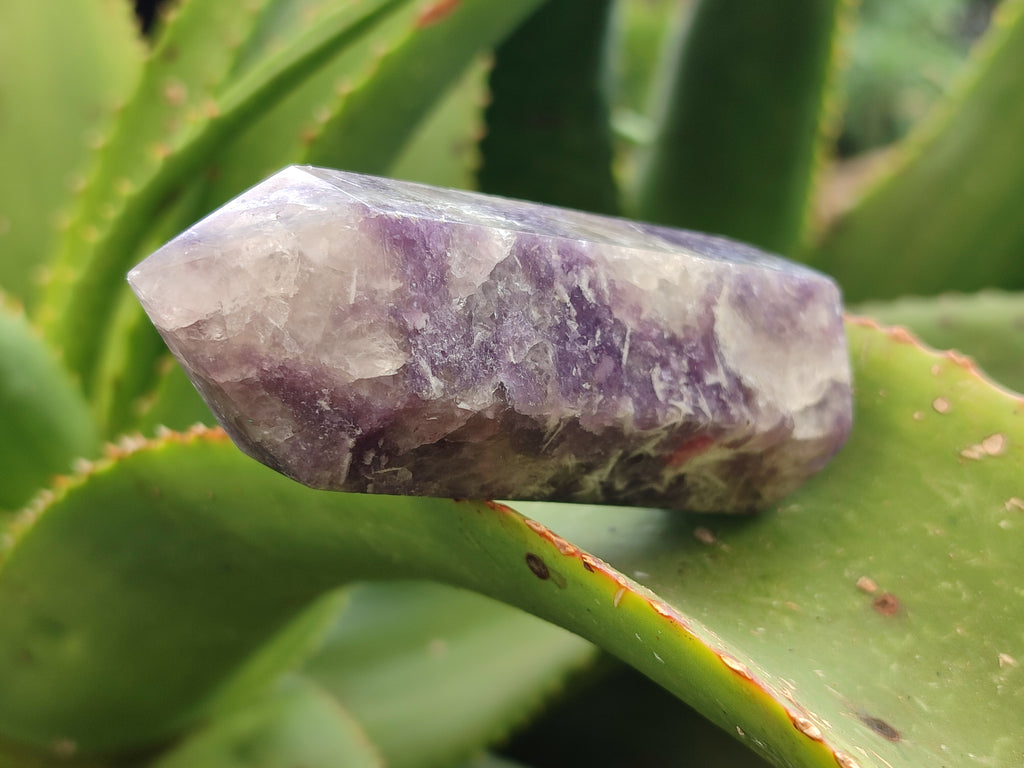 Polished Lepidolite with Pink Rubellite Points x 12 From Ambatondrazaka, Madagascar - Toprock Gemstones and Minerals 