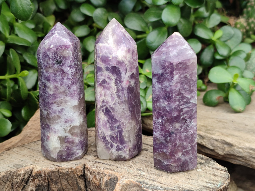 Polished Lepidolite with Pink Rubellite Points x 12 From Ambatondrazaka, Madagascar - Toprock Gemstones and Minerals 