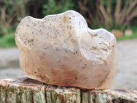 Polished On One Side River Agate Nodules x 12 From Zimbabwe