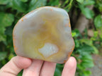 Polished On One Side River Agate Nodules x 12 From Zimbabwe - Toprock Gemstones and Minerals 