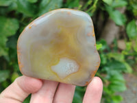 Polished On One Side River Agate Nodules x 12 From Zimbabwe
