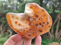 Polished On One Side River Agate Nodules x 12 From Zimbabwe