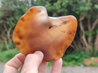 Polished On One Side River Agate Nodules x 12 From Zimbabwe