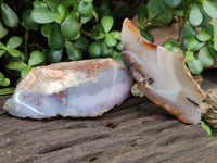 Polished On One Side River Agate Nodules x 12 From Zimbabwe