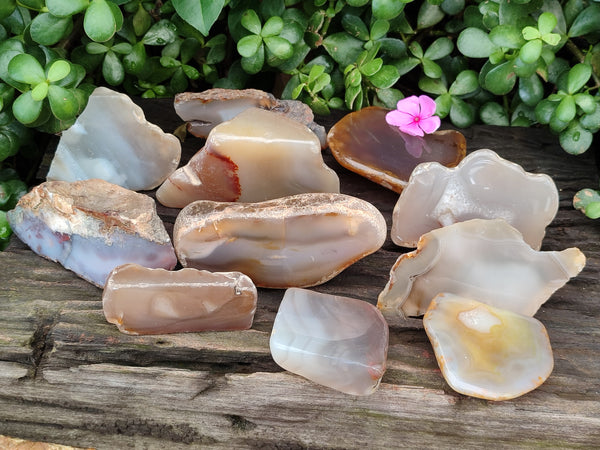 Polished On One Side River Agate Nodules x 12 From Zimbabwe