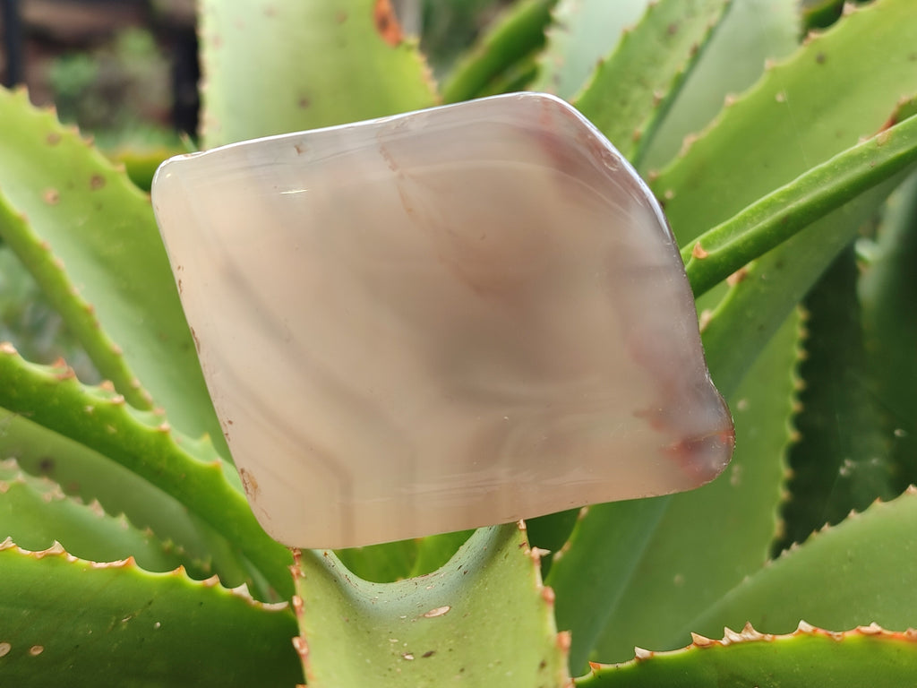 Polished On One Side River Agate Nodules x 12 From Zimbabwe - Toprock Gemstones and Minerals 
