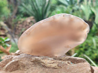 Polished On One Side River Agate Nodules x 12 From Zimbabwe