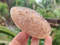 Polished On One Side River Agate Nodules x 12 From Zimbabwe
