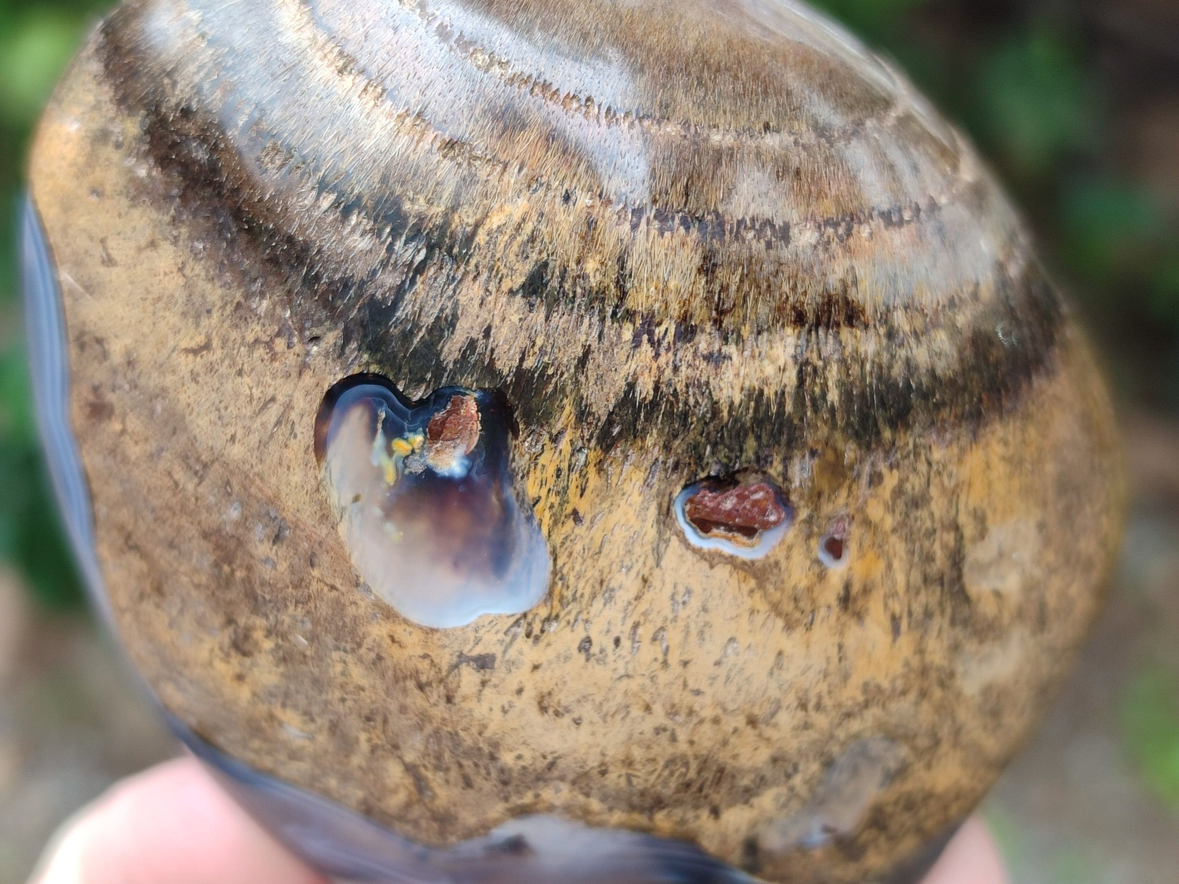 Polished Mixed Agate Standing Free Forms x 6 From Madagascar - Toprock Gemstones and Minerals 