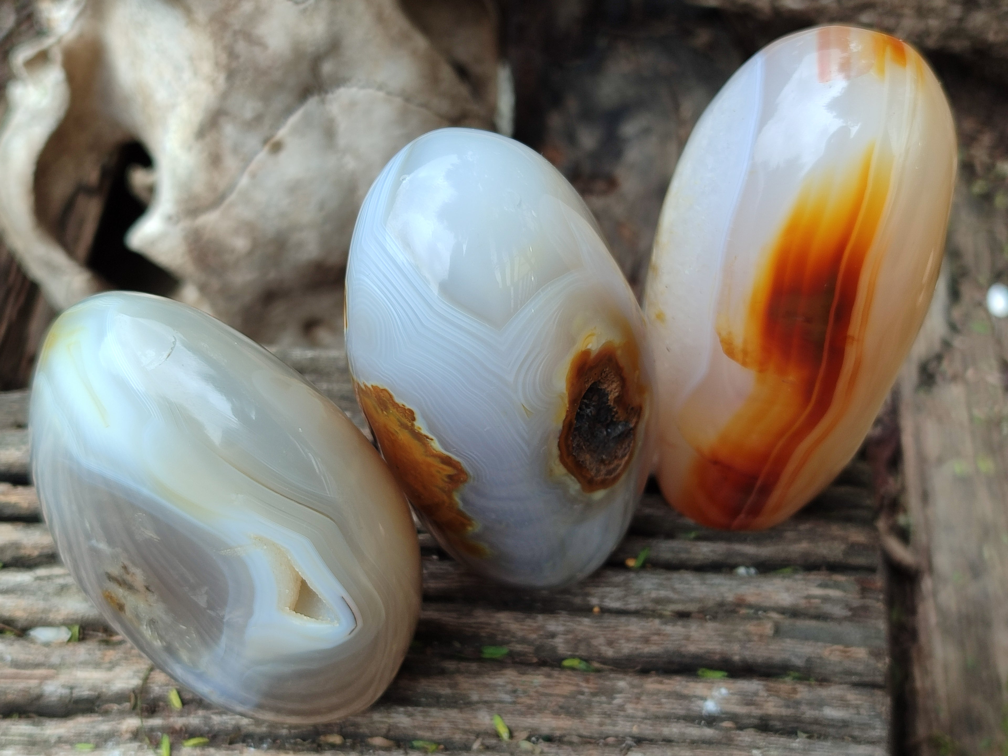 Polished Mixed Agate Standing Free Forms x 6 From Madagascar - Toprock Gemstones and Minerals 