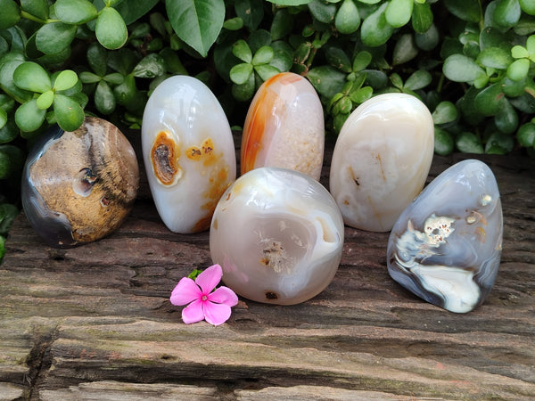 Polished Mixed Agate Standing Free Forms x 6 From Madagascar