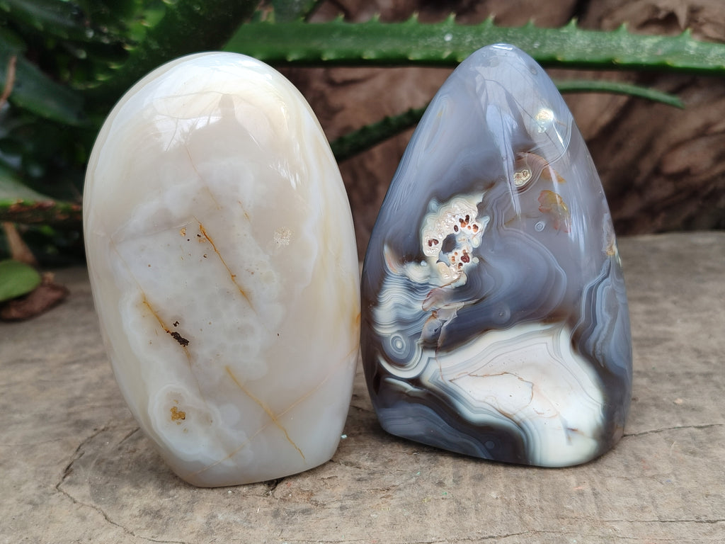 Polished Mixed Agate Standing Free Forms x 6 From Madagascar - Toprock Gemstones and Minerals 