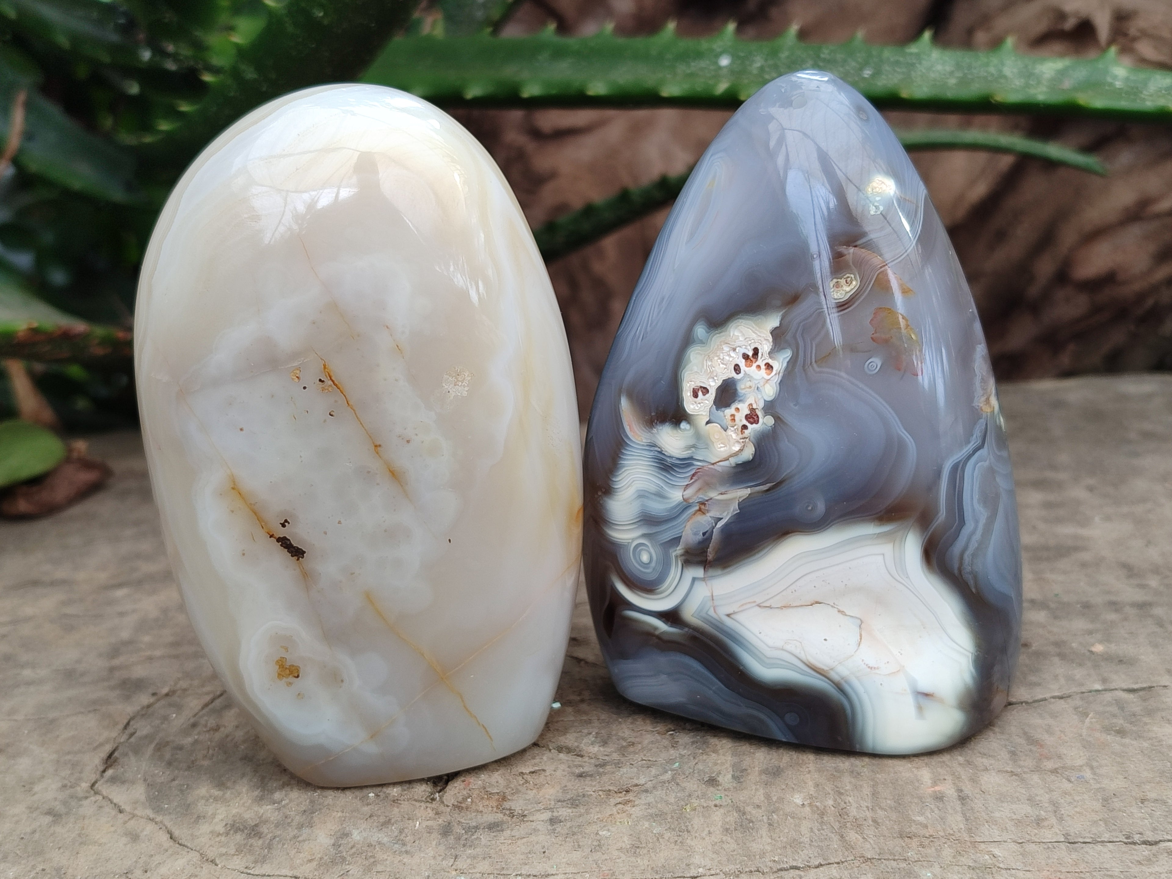 Polished Mixed Agate Standing Free Forms x 6 From Madagascar - Toprock Gemstones and Minerals 