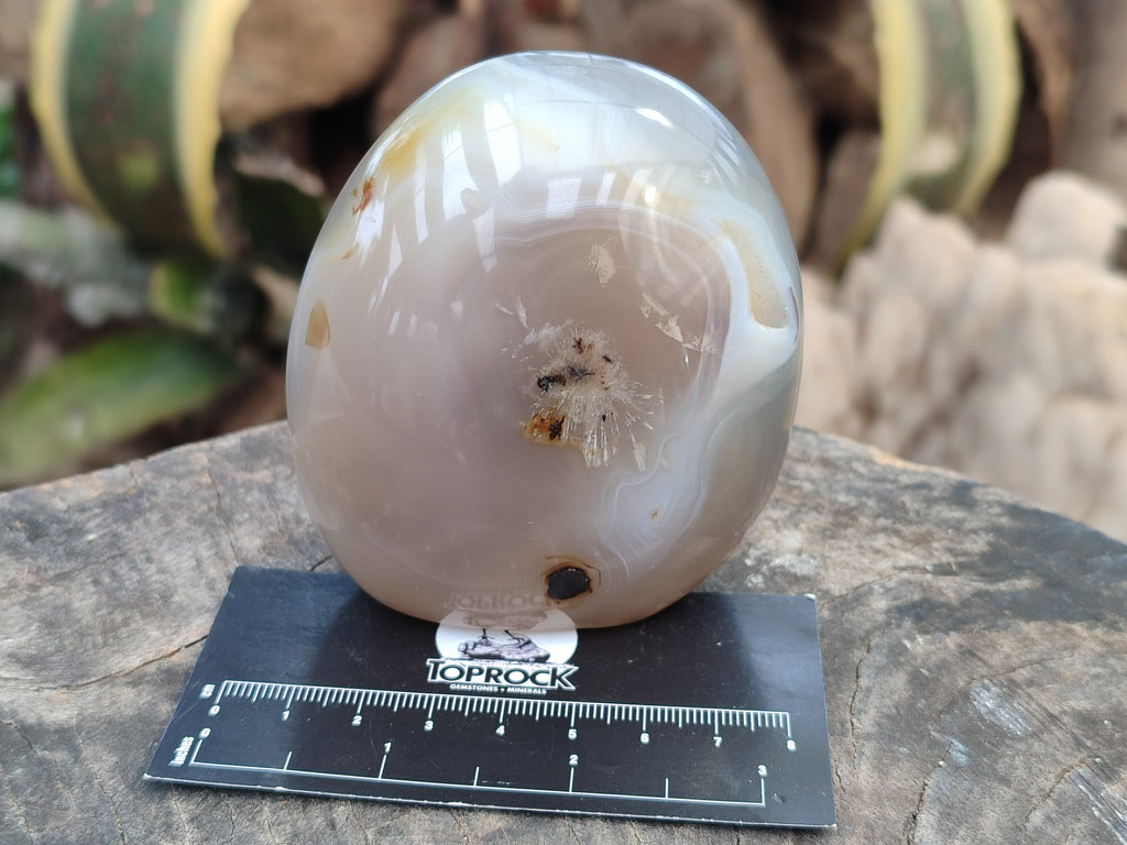 Polished Mixed Agate Standing Free Forms x 6 From Madagascar - Toprock Gemstones and Minerals 