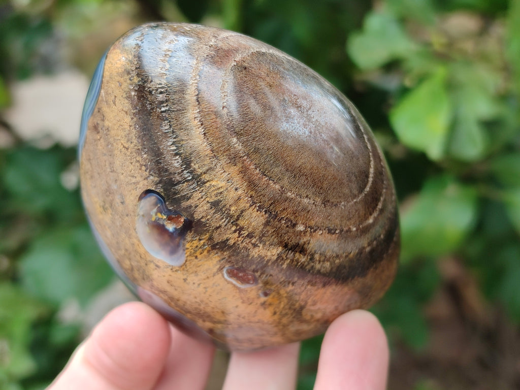 Polished Mixed Agate Standing Free Forms x 6 From Madagascar - Toprock Gemstones and Minerals 