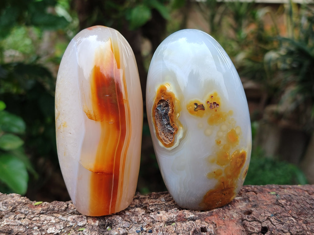 Polished Mixed Agate Standing Free Forms x 6 From Madagascar - Toprock Gemstones and Minerals 