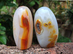 Polished Mixed Agate Standing Free Forms x 6 From Madagascar - Toprock Gemstones and Minerals 