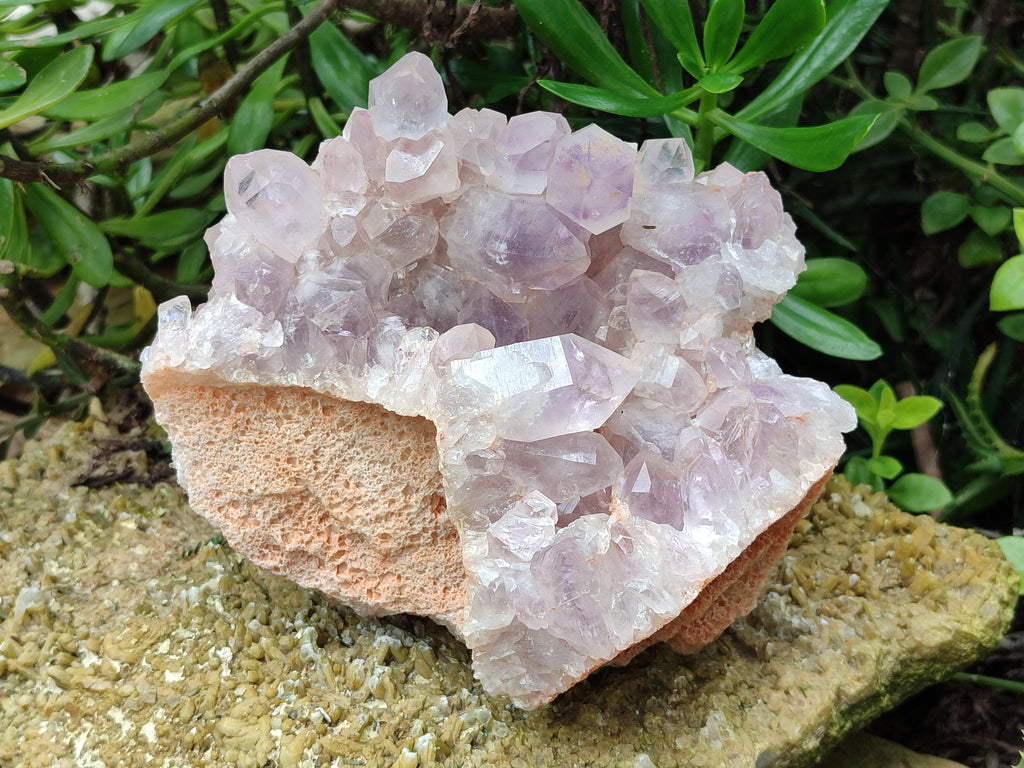 Natural Jacaranda Amethyst Quartz Cluster x 1 From Mumbwa, Zambia - Toprock Gemstones and Minerals 