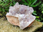 Natural Jacaranda Amethyst Quartz Cluster x 1 From Mumbwa, Zambia - Toprock Gemstones and Minerals 