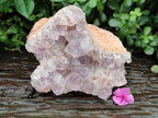 Natural Jacaranda Amethyst Quartz Cluster x 1 From Mumbwa, Zambia - Toprock Gemstones and Minerals 