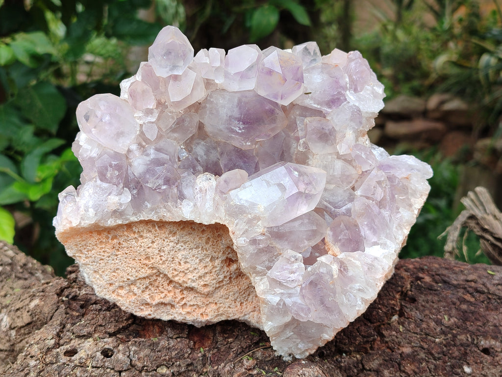Natural Jacaranda Amethyst Quartz Cluster x 1 From Mumbwa, Zambia - Toprock Gemstones and Minerals 