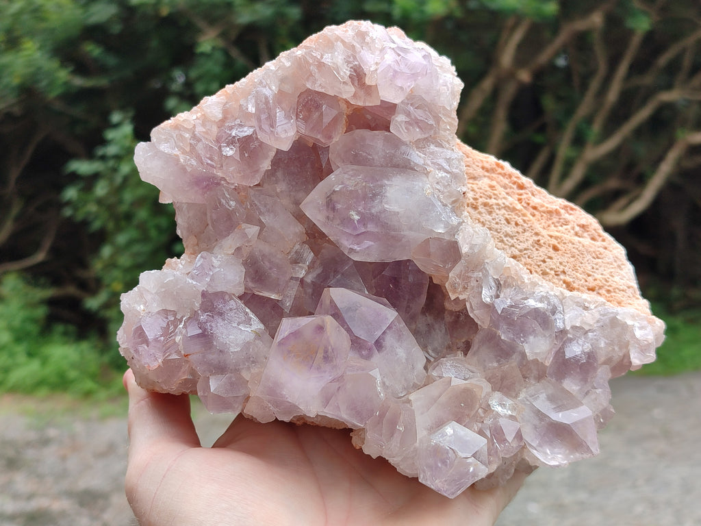 Natural Jacaranda Amethyst Quartz Cluster x 1 From Mumbwa, Zambia - Toprock Gemstones and Minerals 