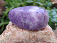 Polished Lepidolite Free Forms x 6 From Zimbabwe