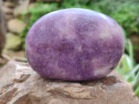 Polished Lepidolite Free Forms x 6 From Zimbabwe