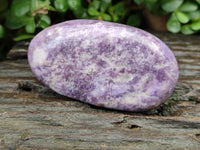 Polished Lepidolite Free Forms x 6 From Zimbabwe
