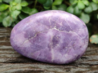 Polished Lepidolite Free Forms x 6 From Zimbabwe
