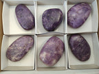 Polished Lepidolite Free Forms x 6 From Zimbabwe - Toprock Gemstones and Minerals 