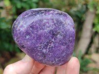 Polished Lepidolite Free Forms x 6 From Zimbabwe
