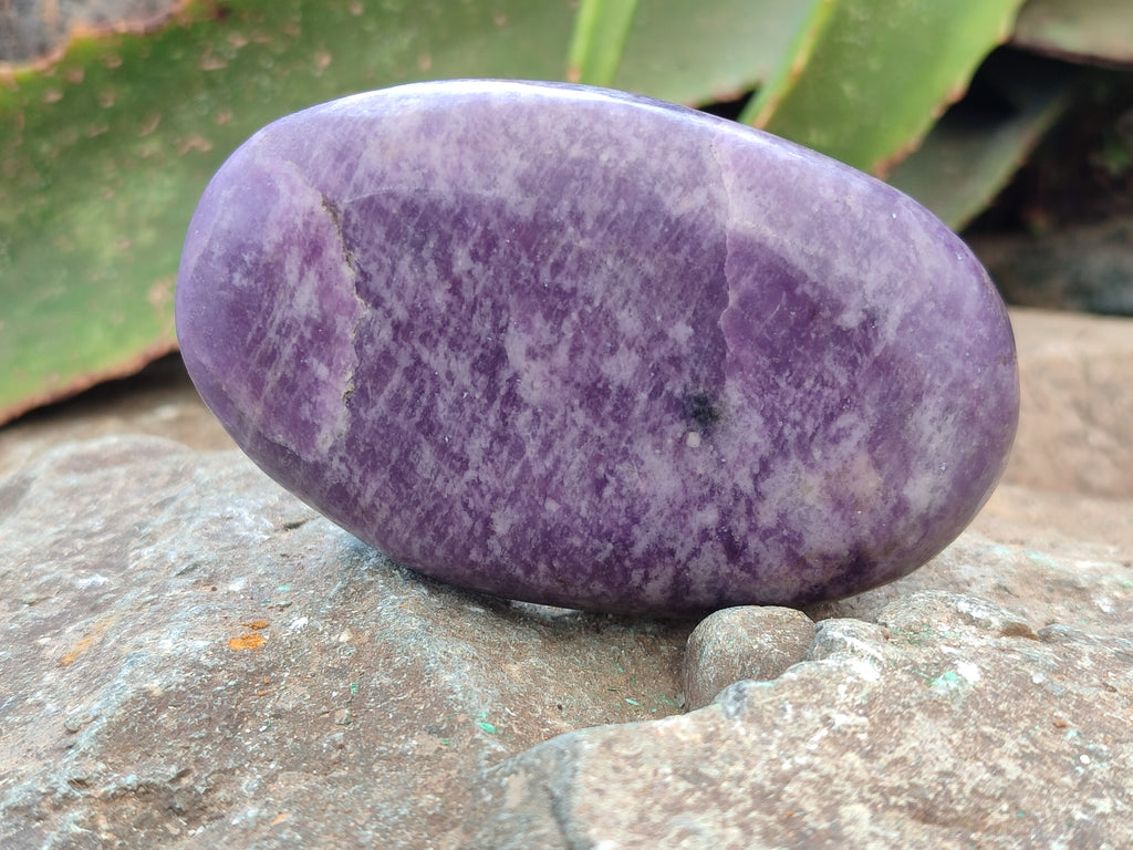 Polished Lepidolite Free Forms x 6 From Zimbabwe - Toprock Gemstones and Minerals 