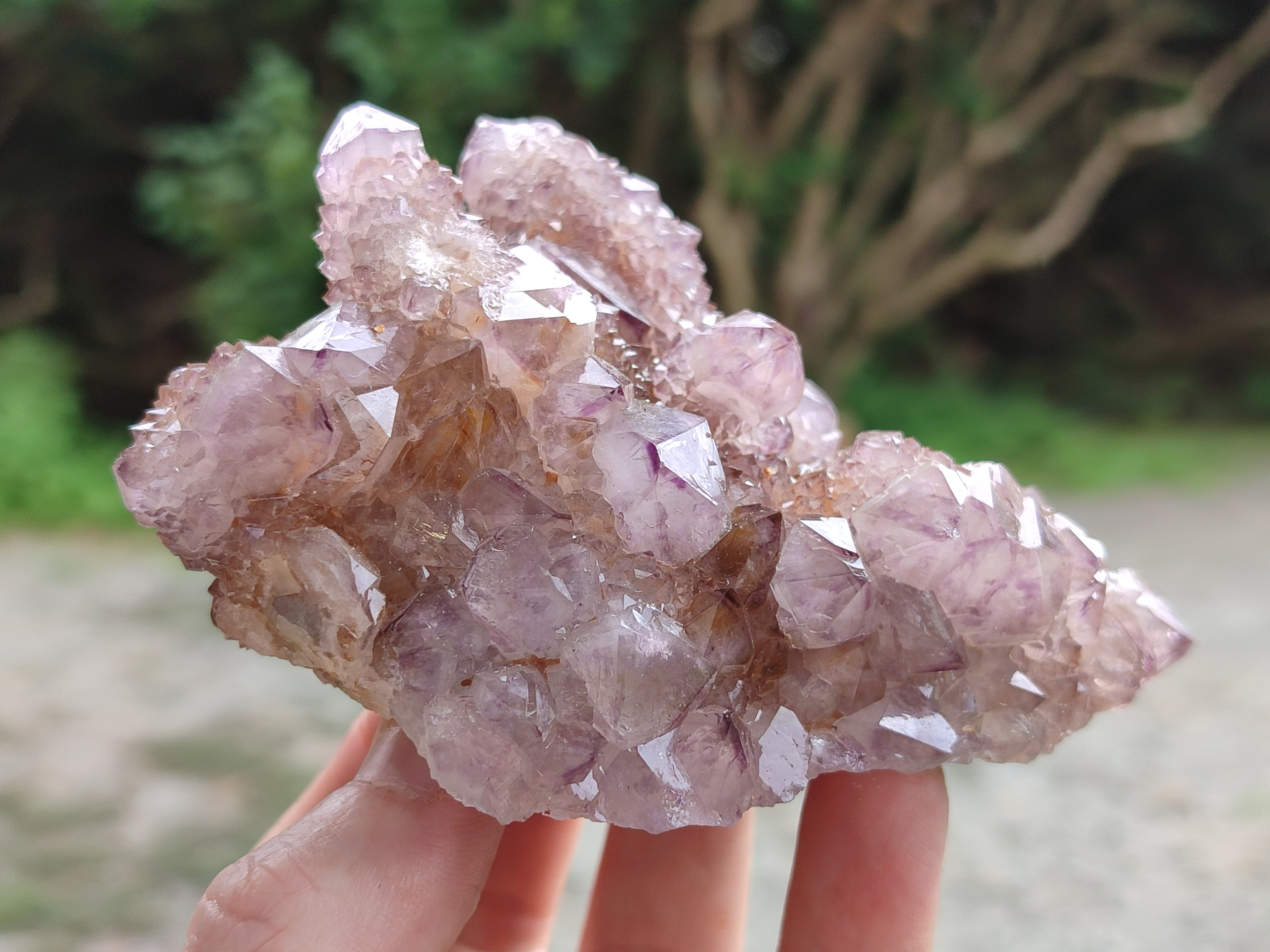 Natural Dark Amethyst Spirit Quartz Clusters x 4 From Boekenhouthoek, South Africa - Toprock Gemstones and Minerals 
