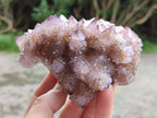 Natural Dark Amethyst Spirit Quartz Clusters x 4 From Boekenhouthoek, South Africa - Toprock Gemstones and Minerals 