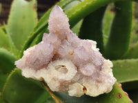 Natural Dark Amethyst Spirit Quartz Clusters x 4 From Boekenhouthoek, South Africa - Toprock Gemstones and Minerals 