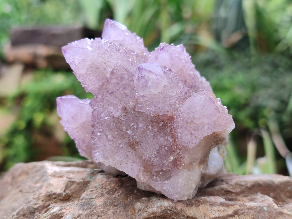 Natural Dark Amethyst Spirit Quartz Clusters x 4 From Boekenhouthoek, South Africa - Toprock Gemstones and Minerals 