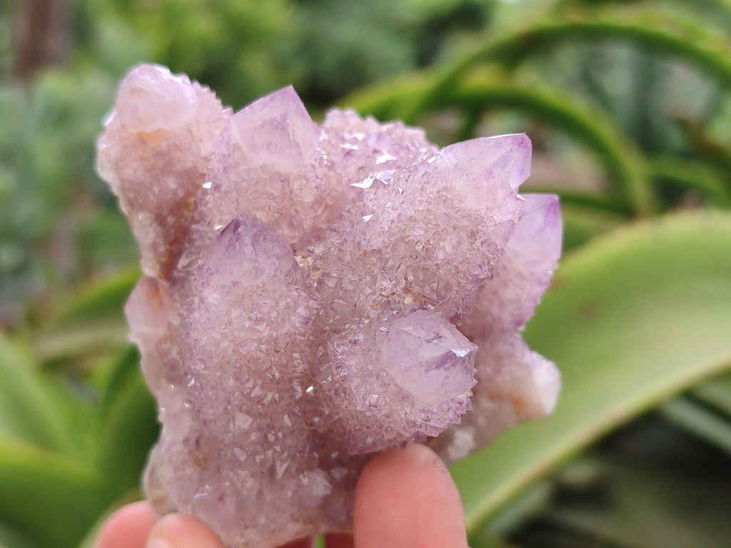 Natural Dark Amethyst Spirit Quartz Clusters x 4 From Boekenhouthoek, South Africa - Toprock Gemstones and Minerals 